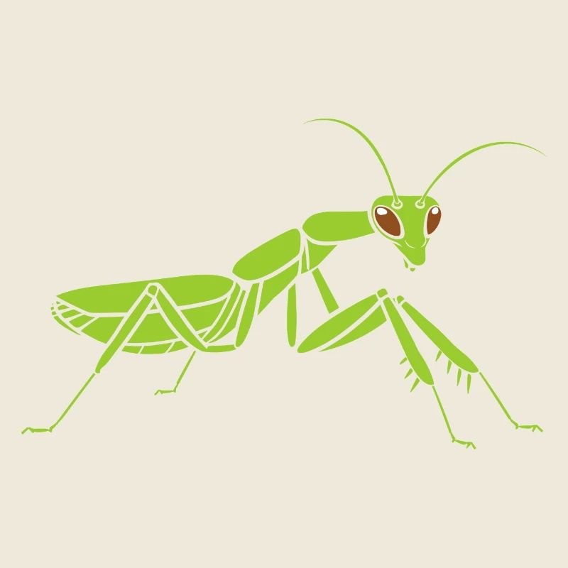 Praying mantis