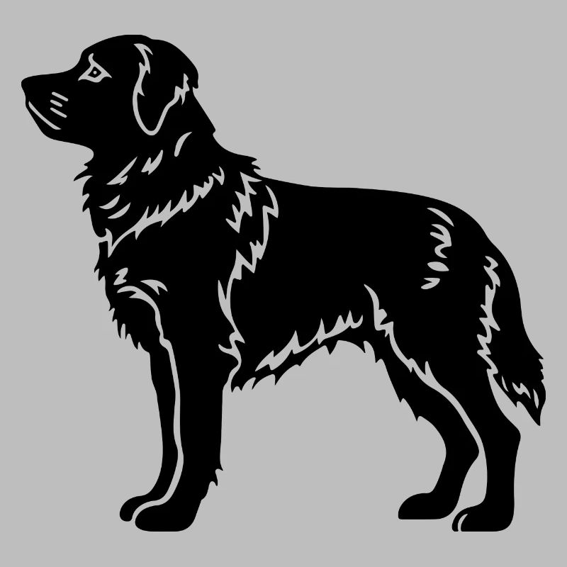 Samojede Hund
