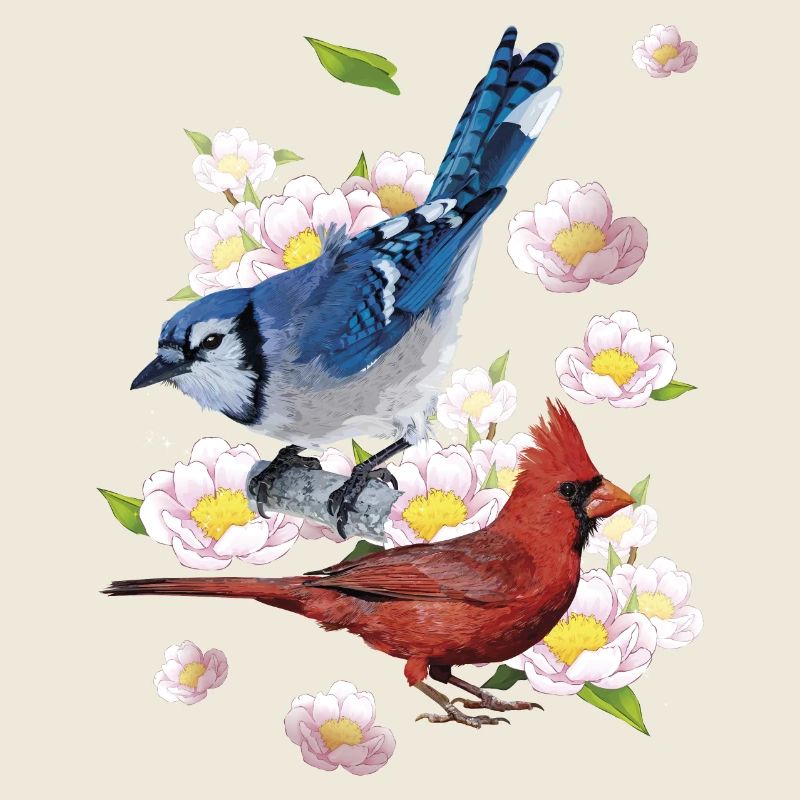 Der nördliche Kardinal und der blaue Eichelhäher