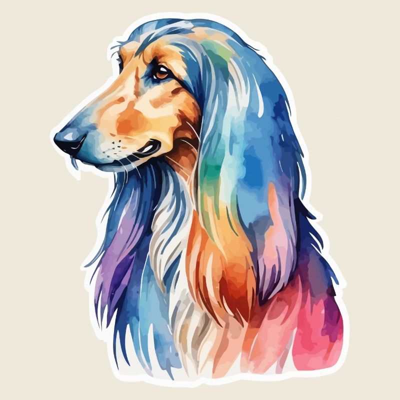 Lévrier afghan aquarelle