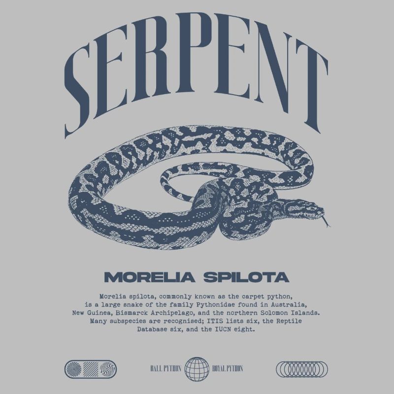 Tapis Python Moderne Reptile Keeper Streetwear