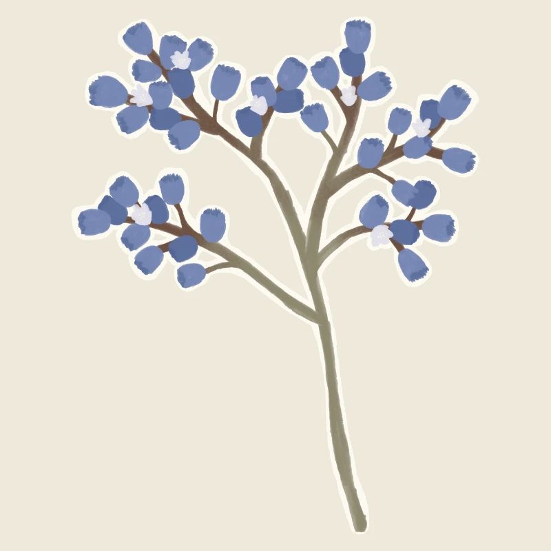 Sea lavender