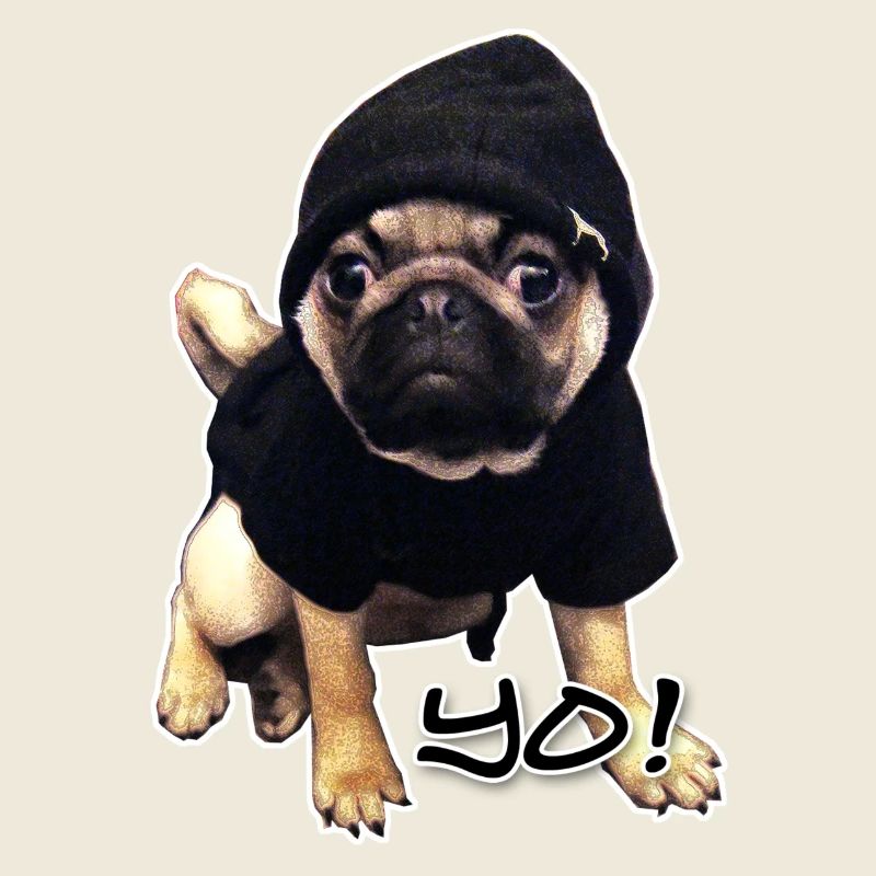 yo_mops_3