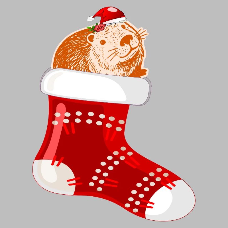 WEIHNACHTSMANN WEIHNACHTSSTRÜMPFE CAPYBARA