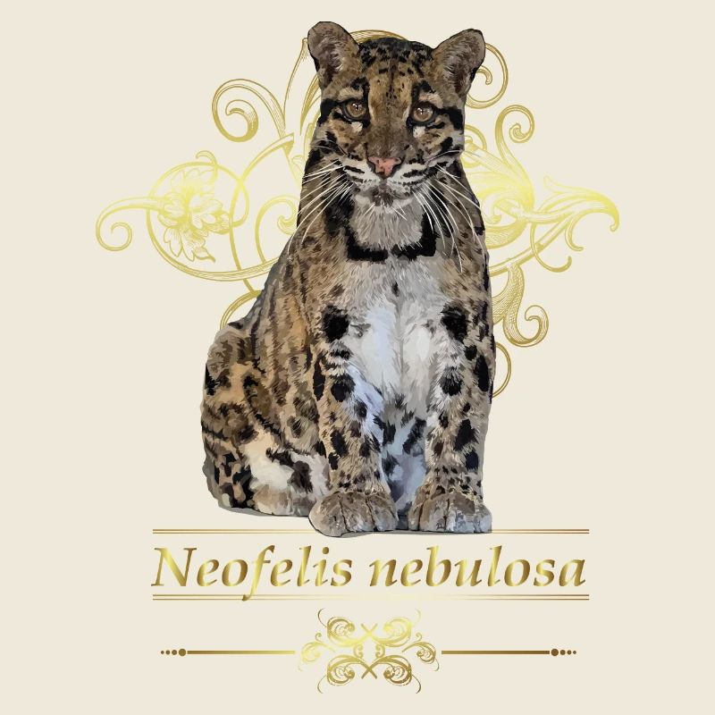 The Clouded Leopard