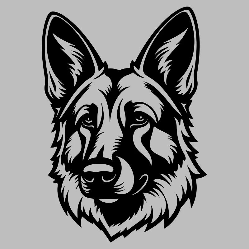Schäferhund Hund Kopf