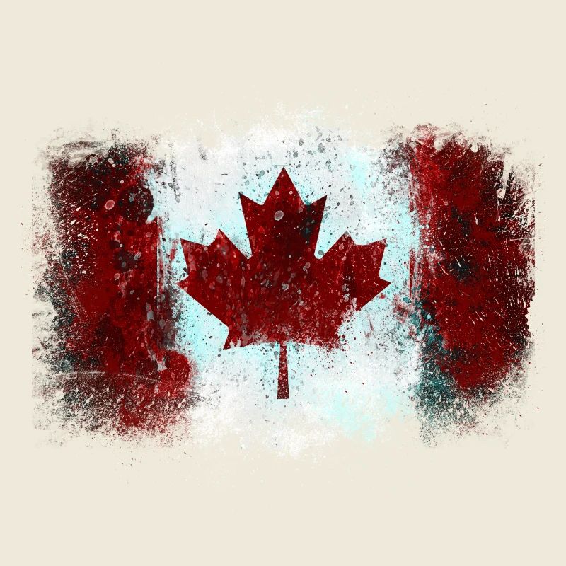 Graffiti drapeau canadien