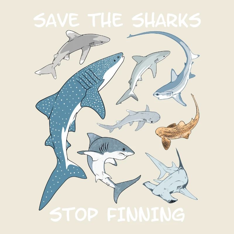 Types de requins Espèces de requins