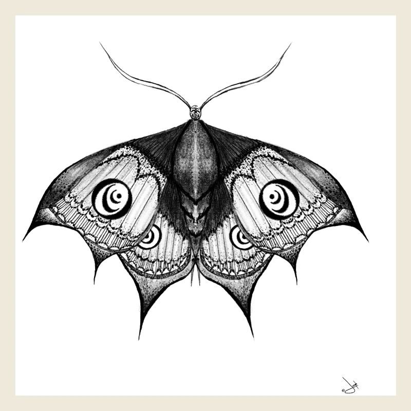 Ink Moth Black