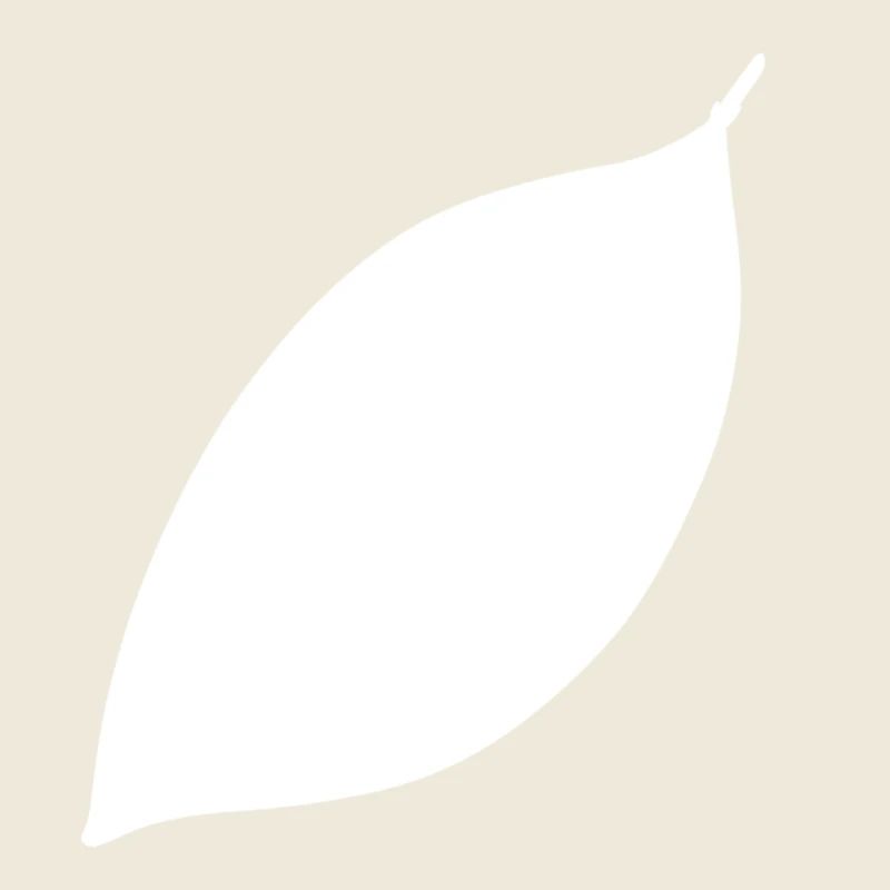 Leaf Symbol Shape Nature