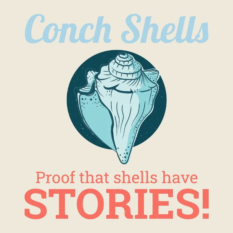 Conque Coquillages Collector Beachcomber Coquillage