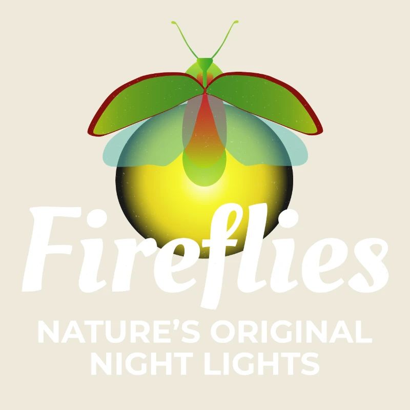 Lucioles Firefly Lightning Bug Insect Collector