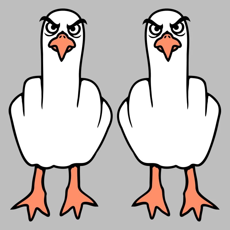 2 Seagulls Middle Finger Insult Stinkfinger Team