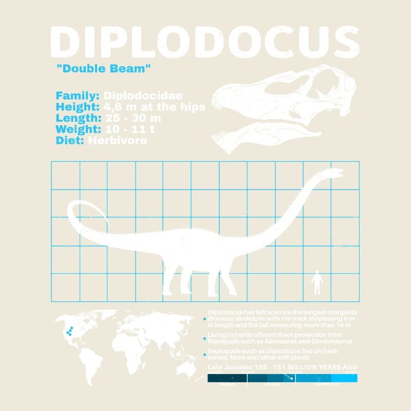 Fiche technique du Diplodocus