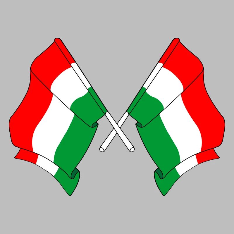 Zwei Flaggen Ungarn