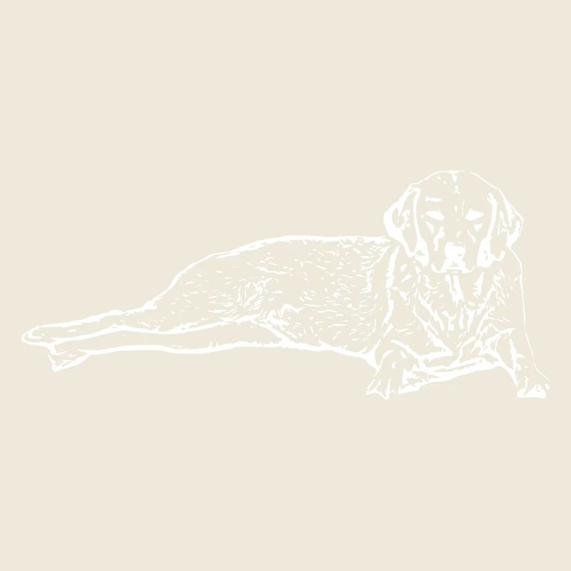 Chien blanc