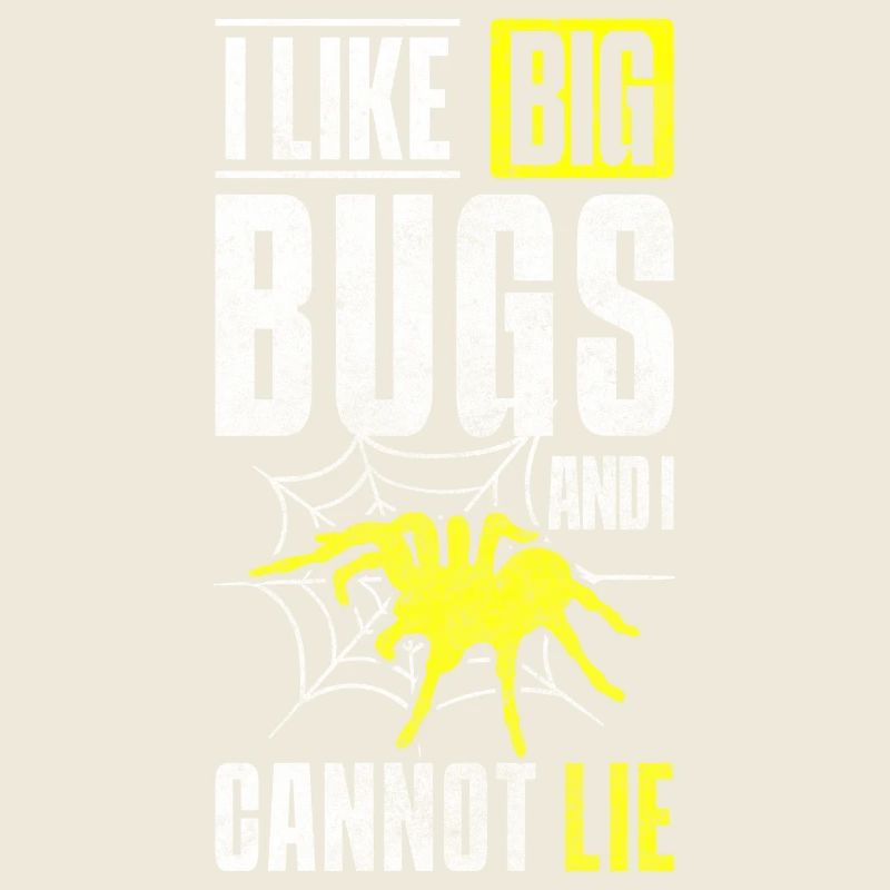 Spider Web Arachnids