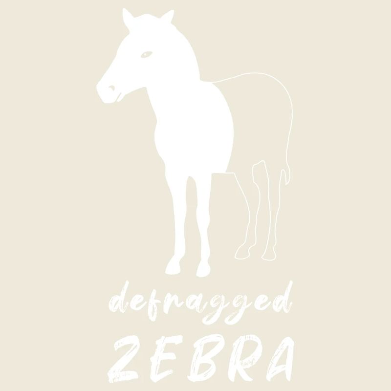 Defragged Zebra Informatiker Admin Geek Geschenk
