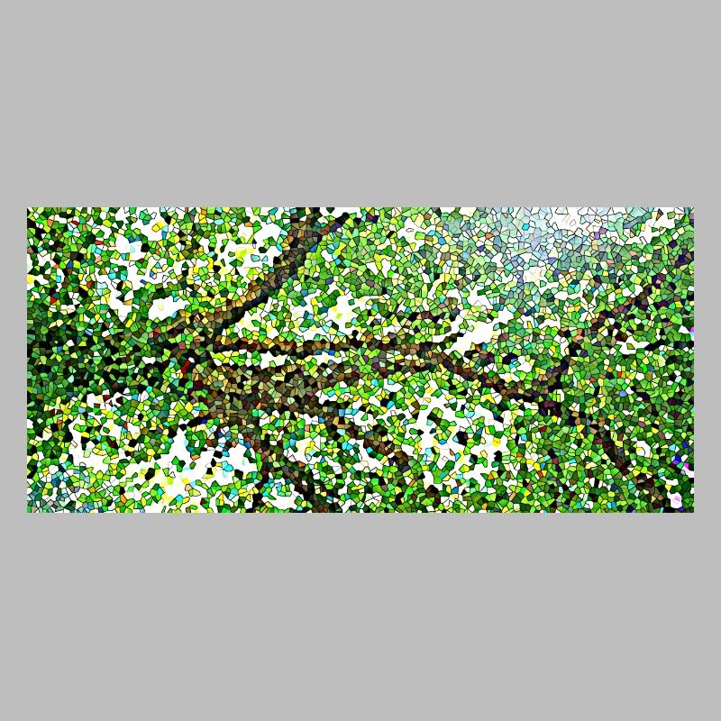 Die anmutigen Äste eines Baumes