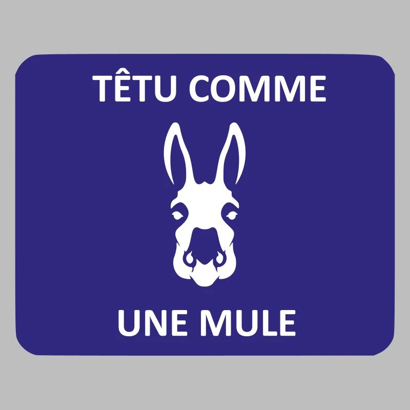 Têtu comme une mule