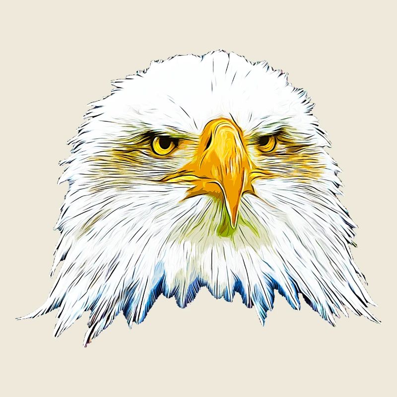 gxp eagle bald eagle vector art
