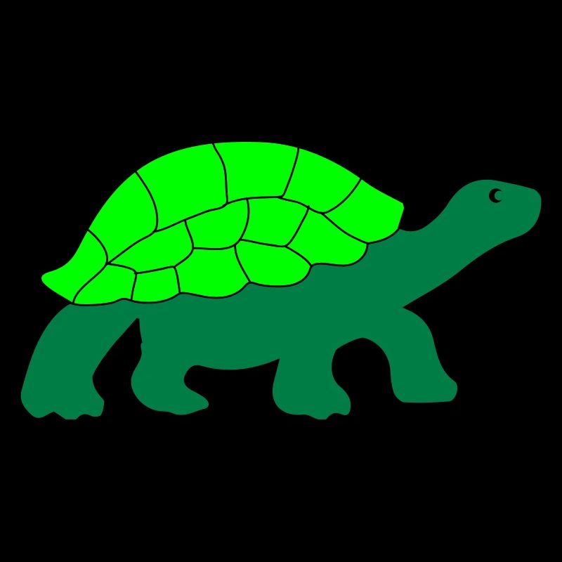 turtle