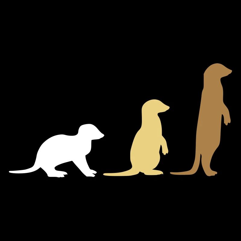 Meerkat trois vecteurs