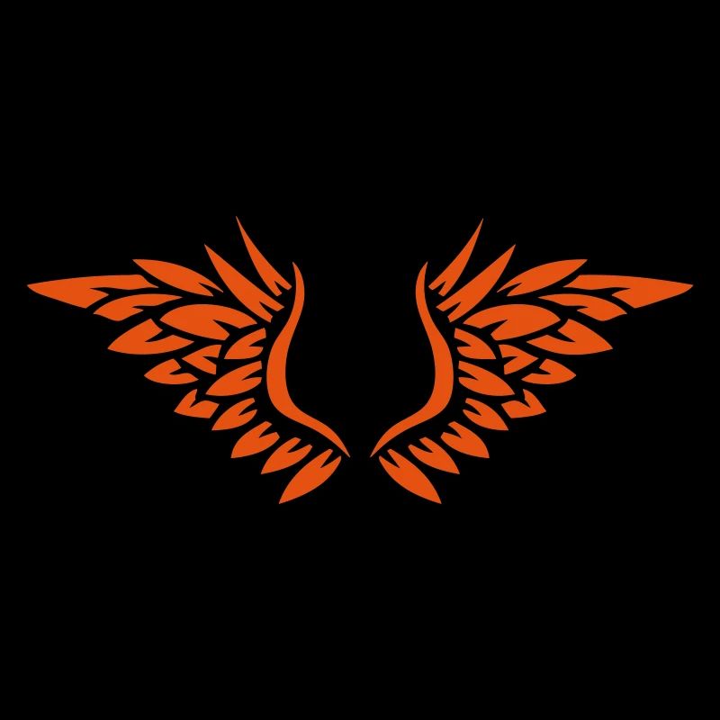 aile aille oiseaux ange 27012