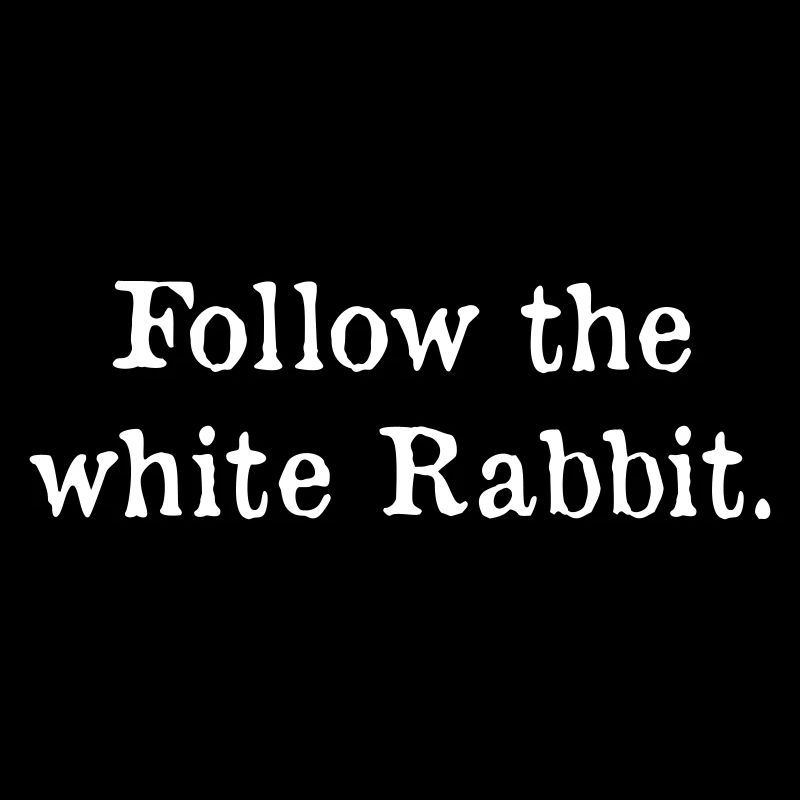 Follow the white Rabbit