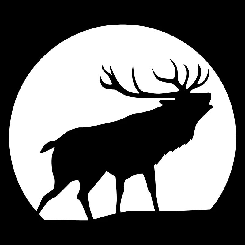 Hirsch
