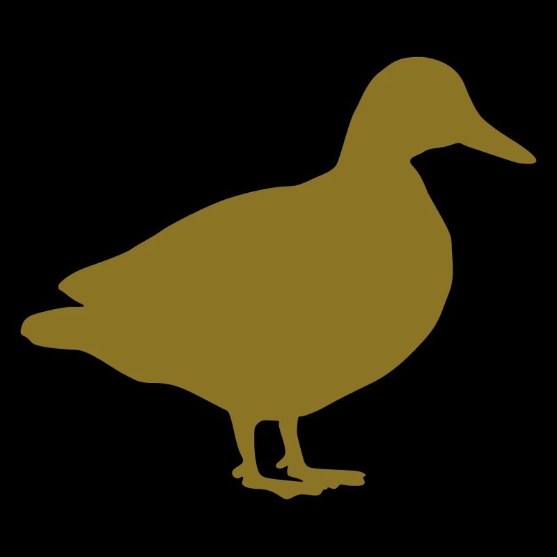canard