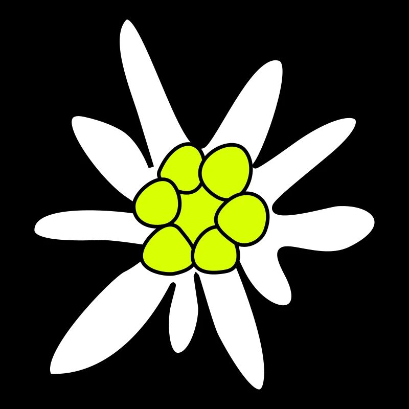 Edelweiss, ghosteweed