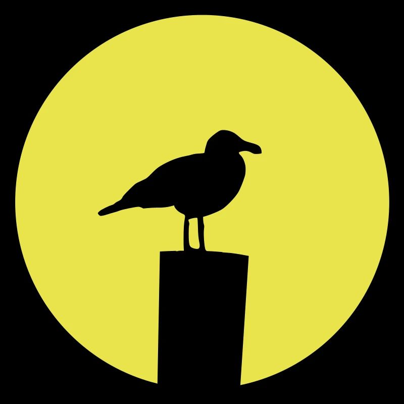 Möwe Sonne