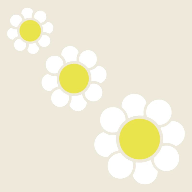 3 Weiße Margeriten Blumen Frühling Sommer Hübsch
