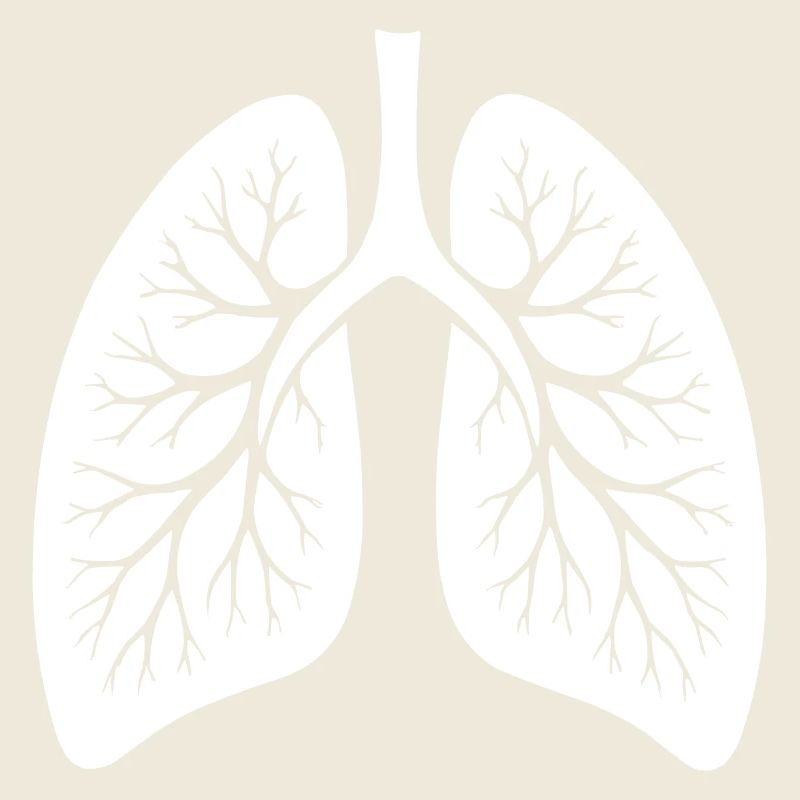 lung