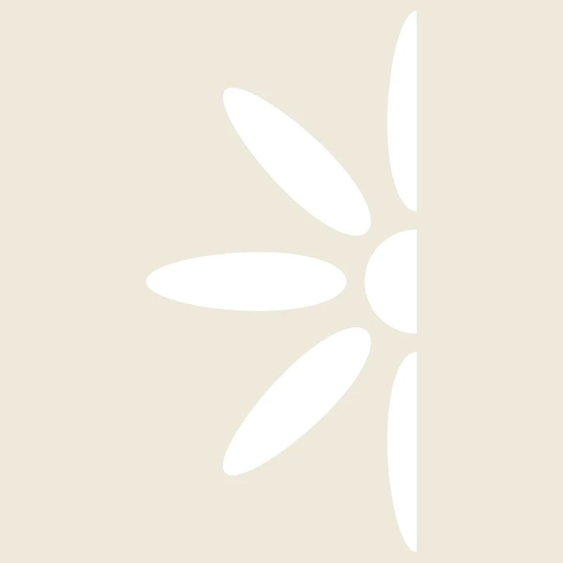 Small Daisy Half Flower White Decorative Beautiful