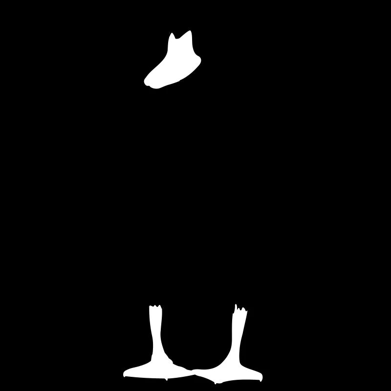 canard
