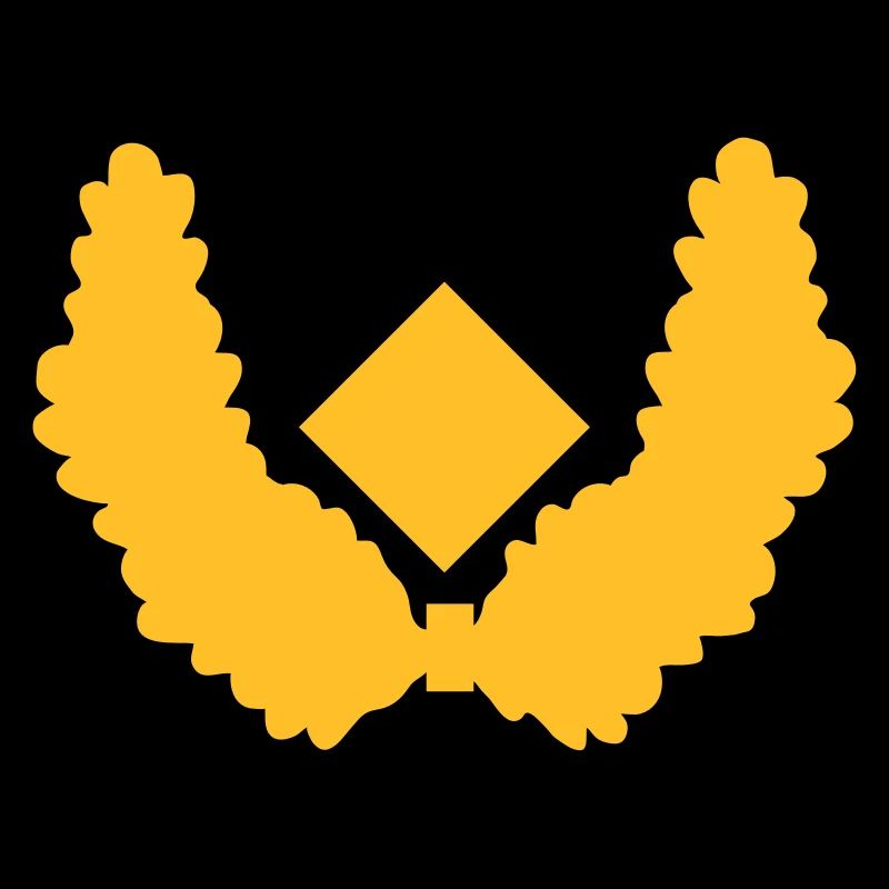 Brigadegeneral Dienstgrad