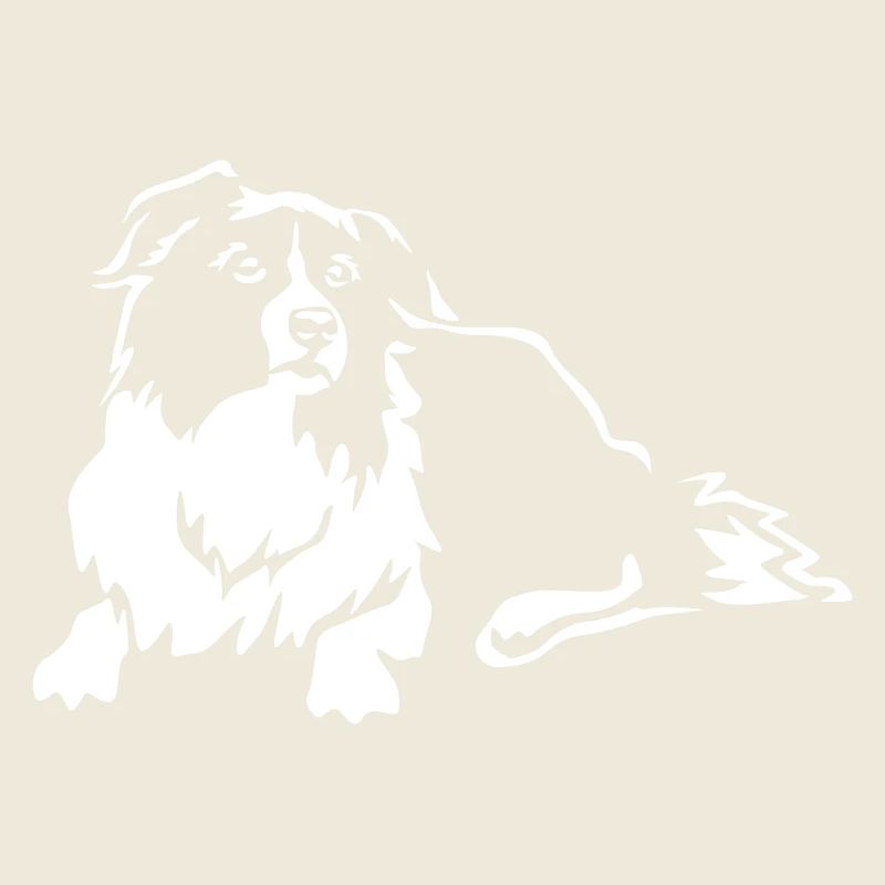 Border Collie "Black Edition"