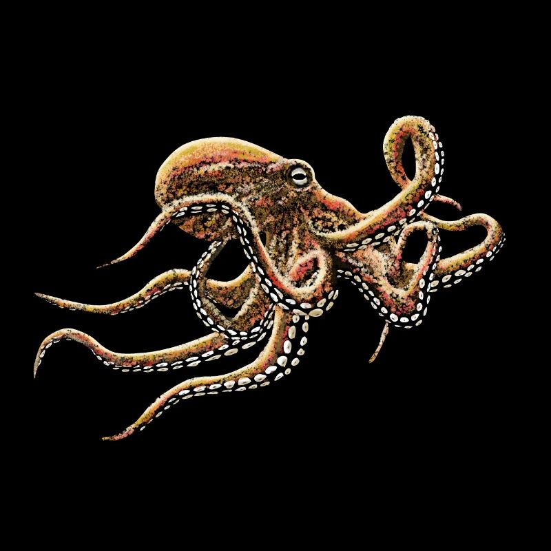 OCTOPUS