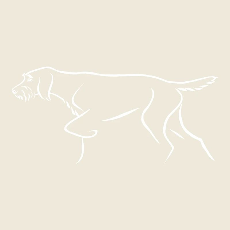 Wire-haired pointer