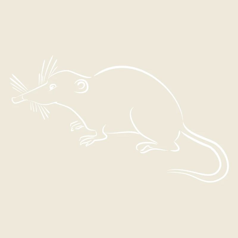 Zwergspitzmaus