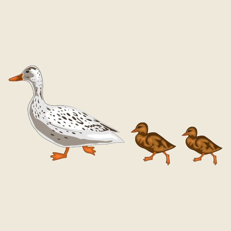 canard