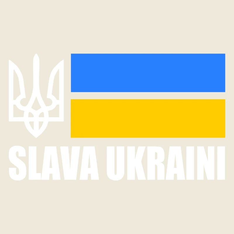 Ukraine flag