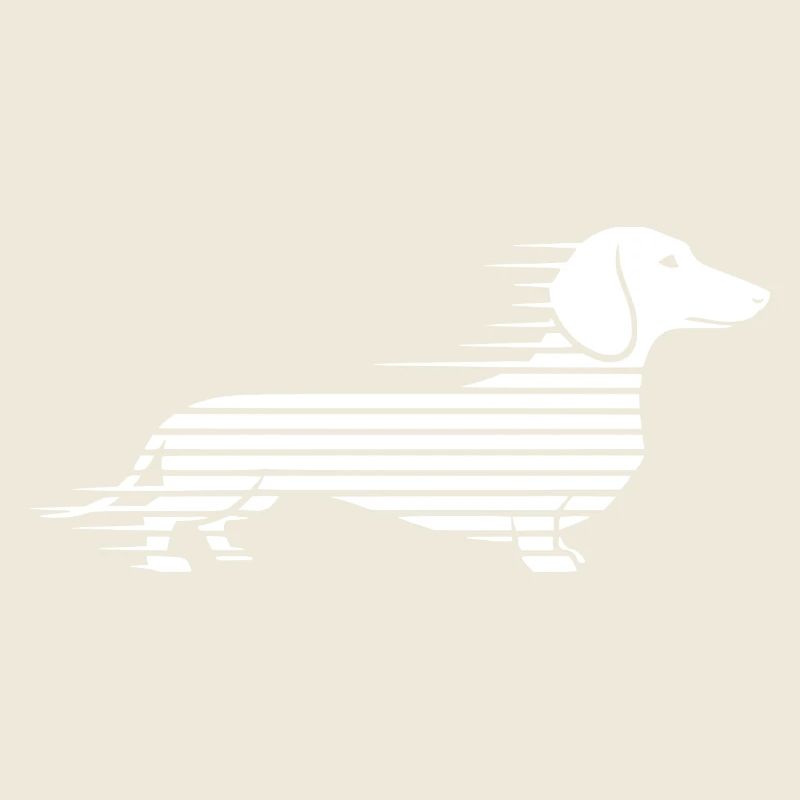 Teckel rayé en course