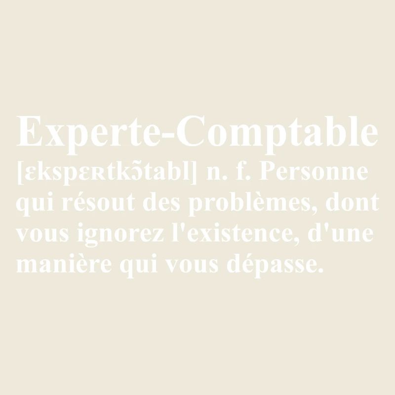 Experte-Comptable Définition