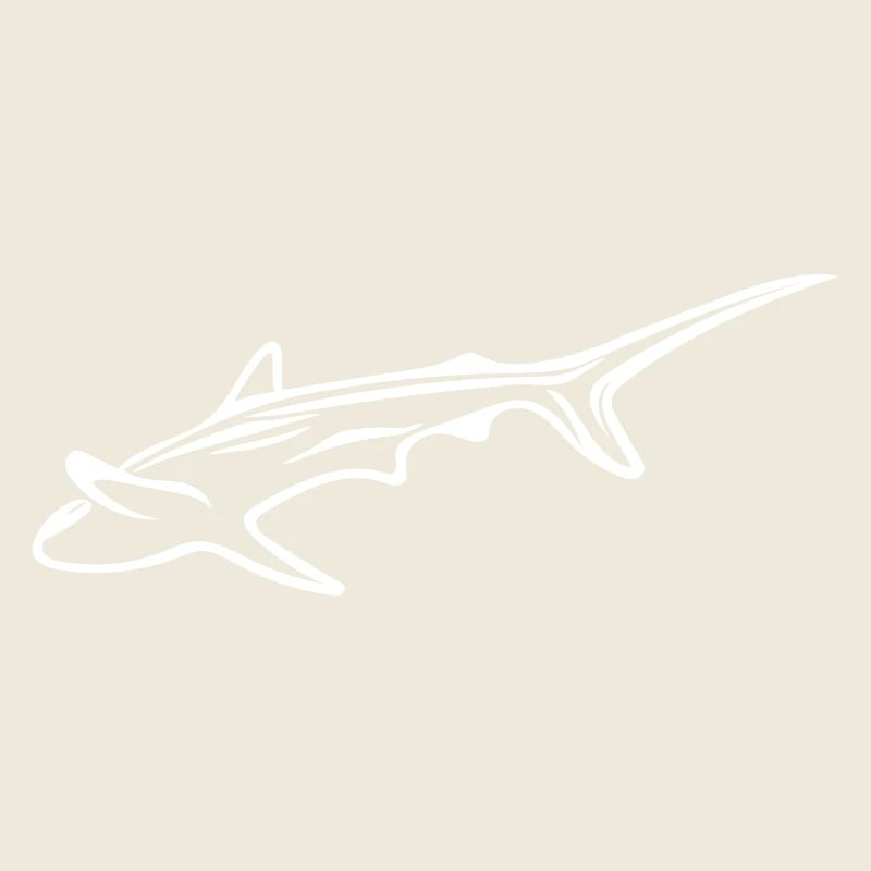 Requin élégant dans le courant de dérive