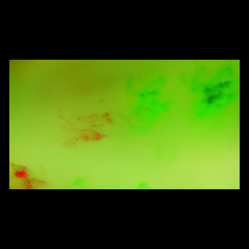 Art du néon 62
