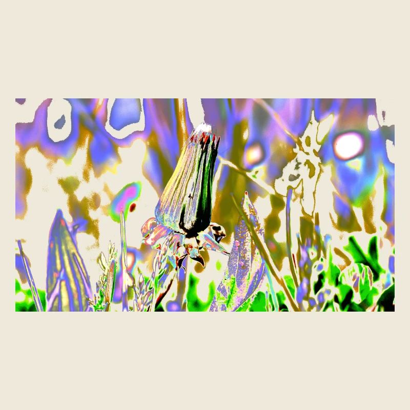 Prairie 731225