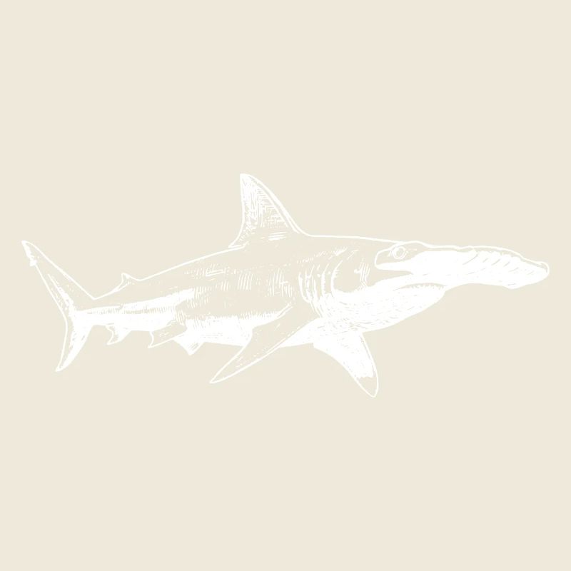 Silhouette du requin-marteau de minuit